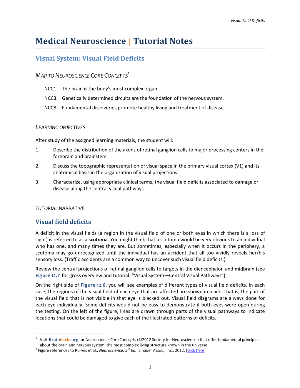 03 27 Visual System-Visual Field Deficits-NOTES.Pdf