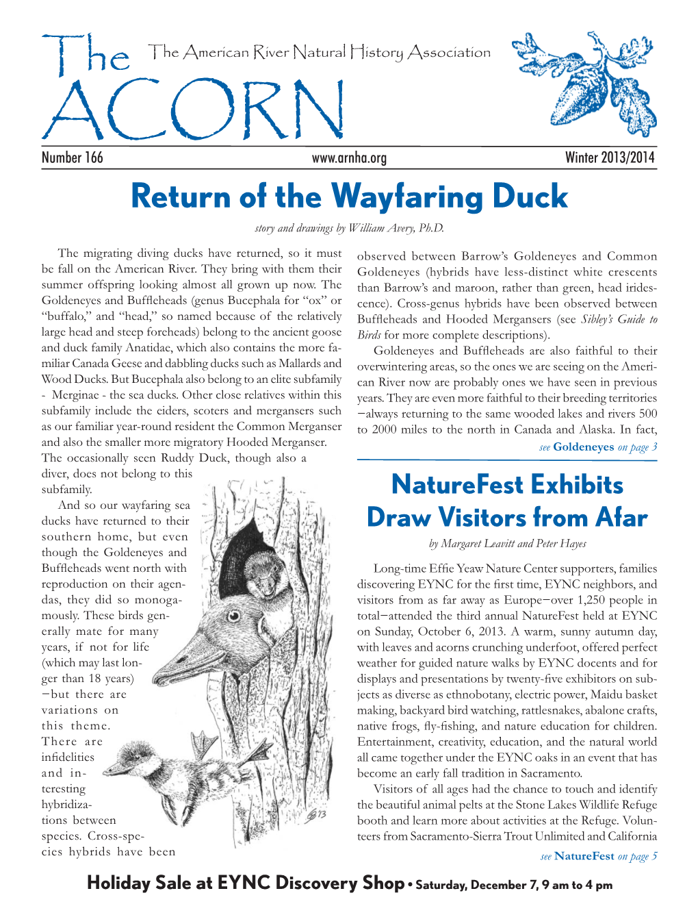 Return of the Wayfaring Duck Story and Drawings by William Avery, Ph.D