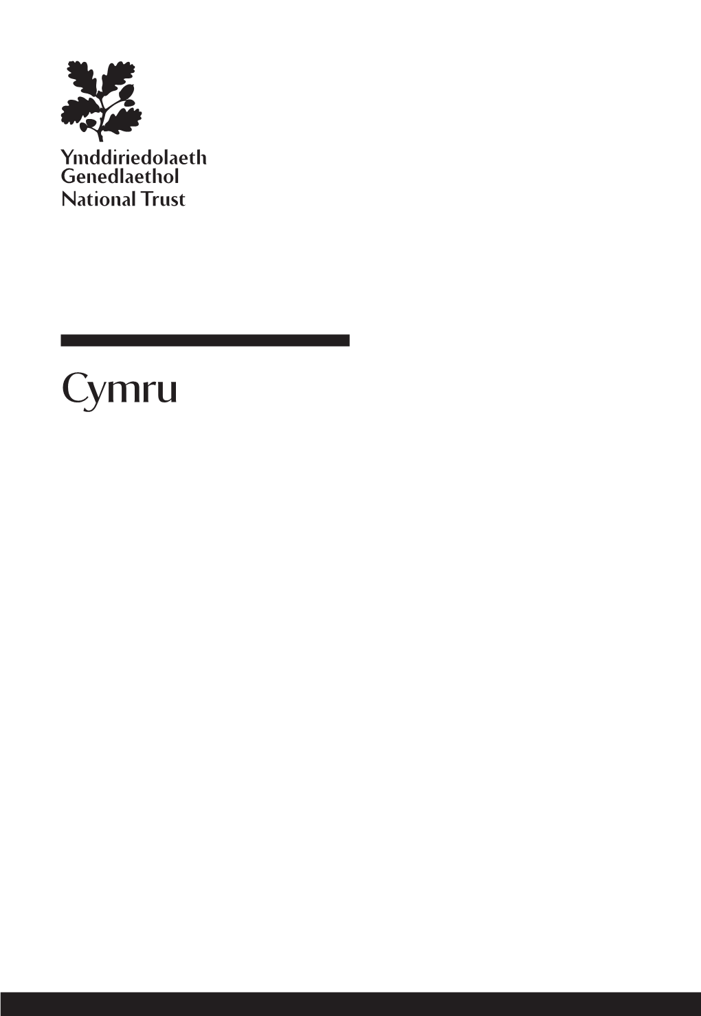 Welsh-Version-Of-The-2021-Handbook.Pdf