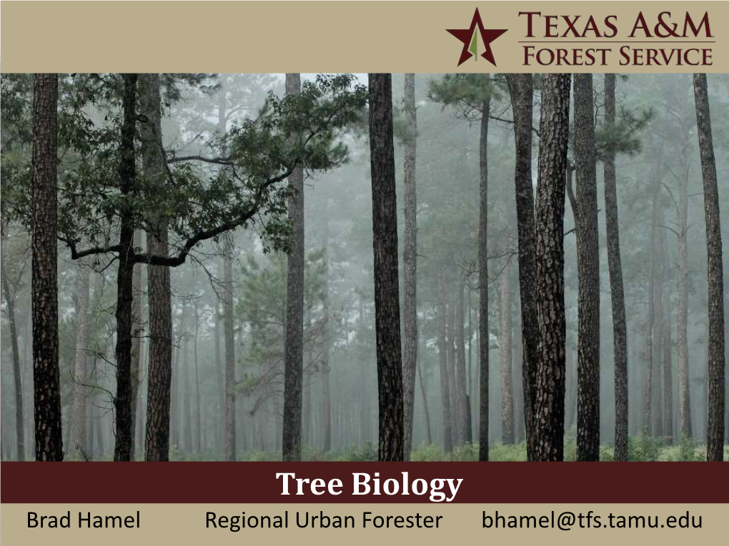 Tree-Biology.Pdf