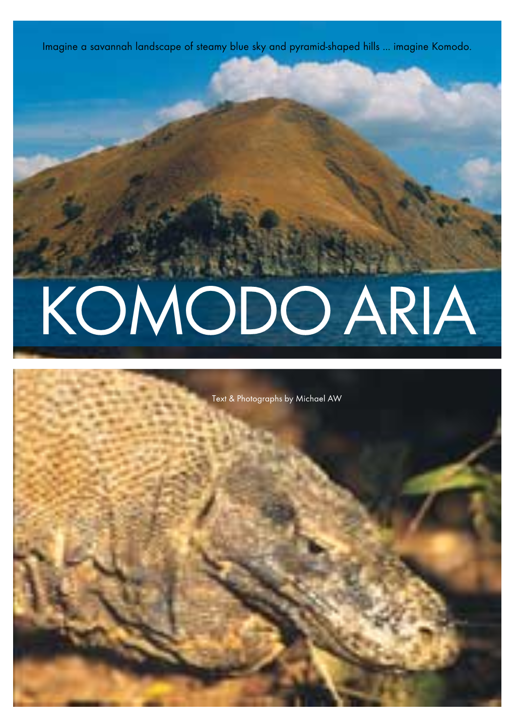 Imagine a Savannah Landscape of Steamy Blue Sky and Pyramid-Shaped Hills ... Imagine Komodo