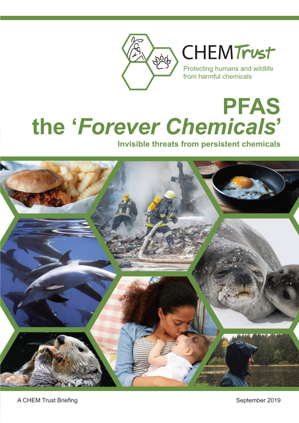 PFAS the 'Forever Chemicals'