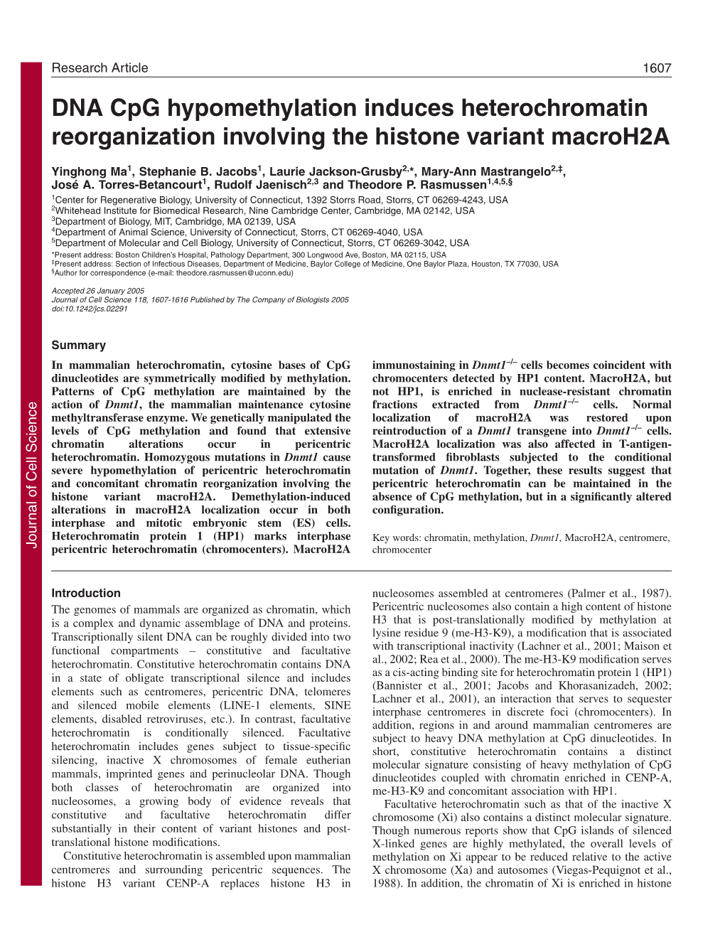 DNA Cpg Hypomethylation Induces Heterochromatin Reorganization Involving the Histone Variant Macroh2a