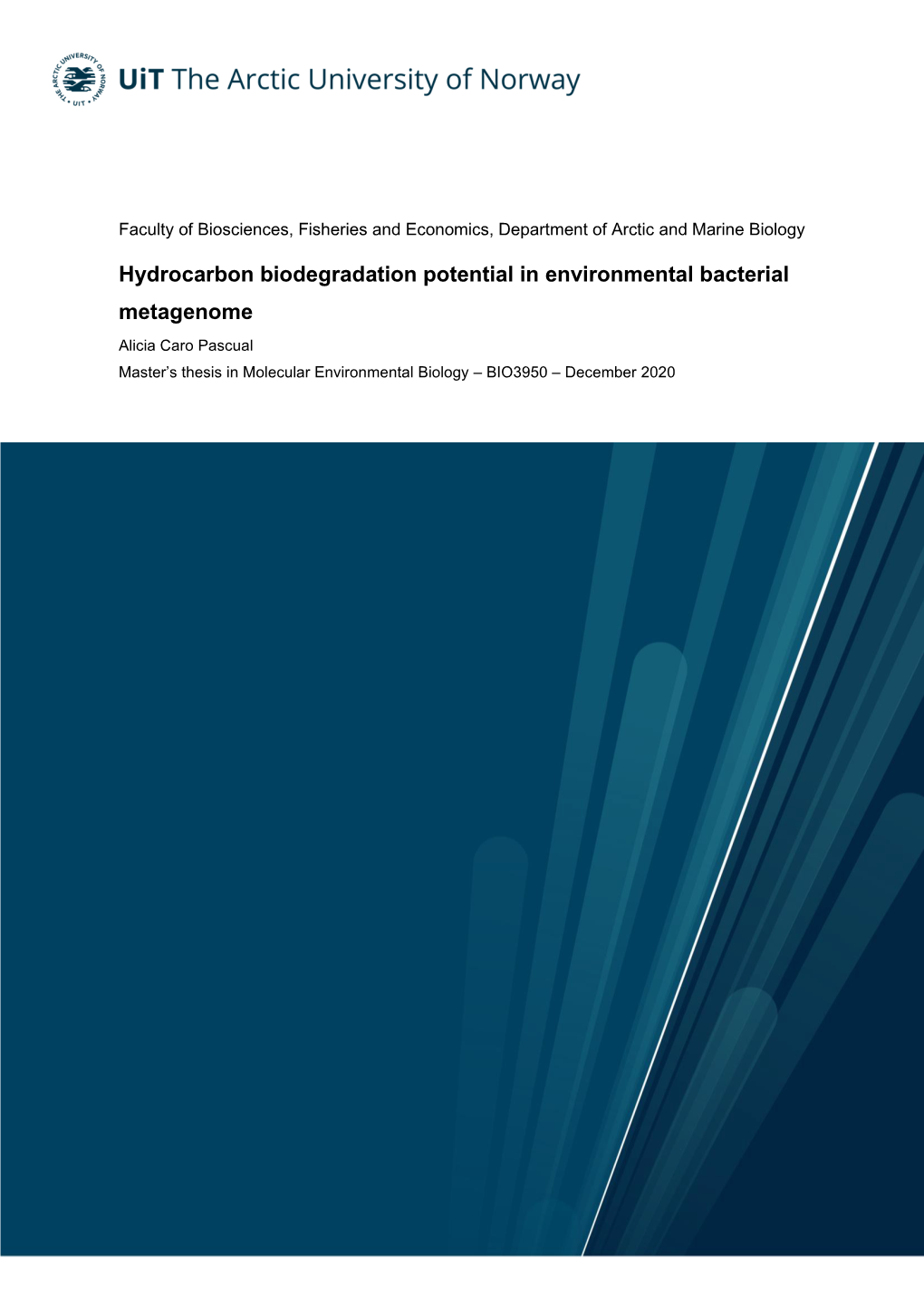 Hydrocarbon Biodegradation Potential in Environmental Bacterial Metagenome