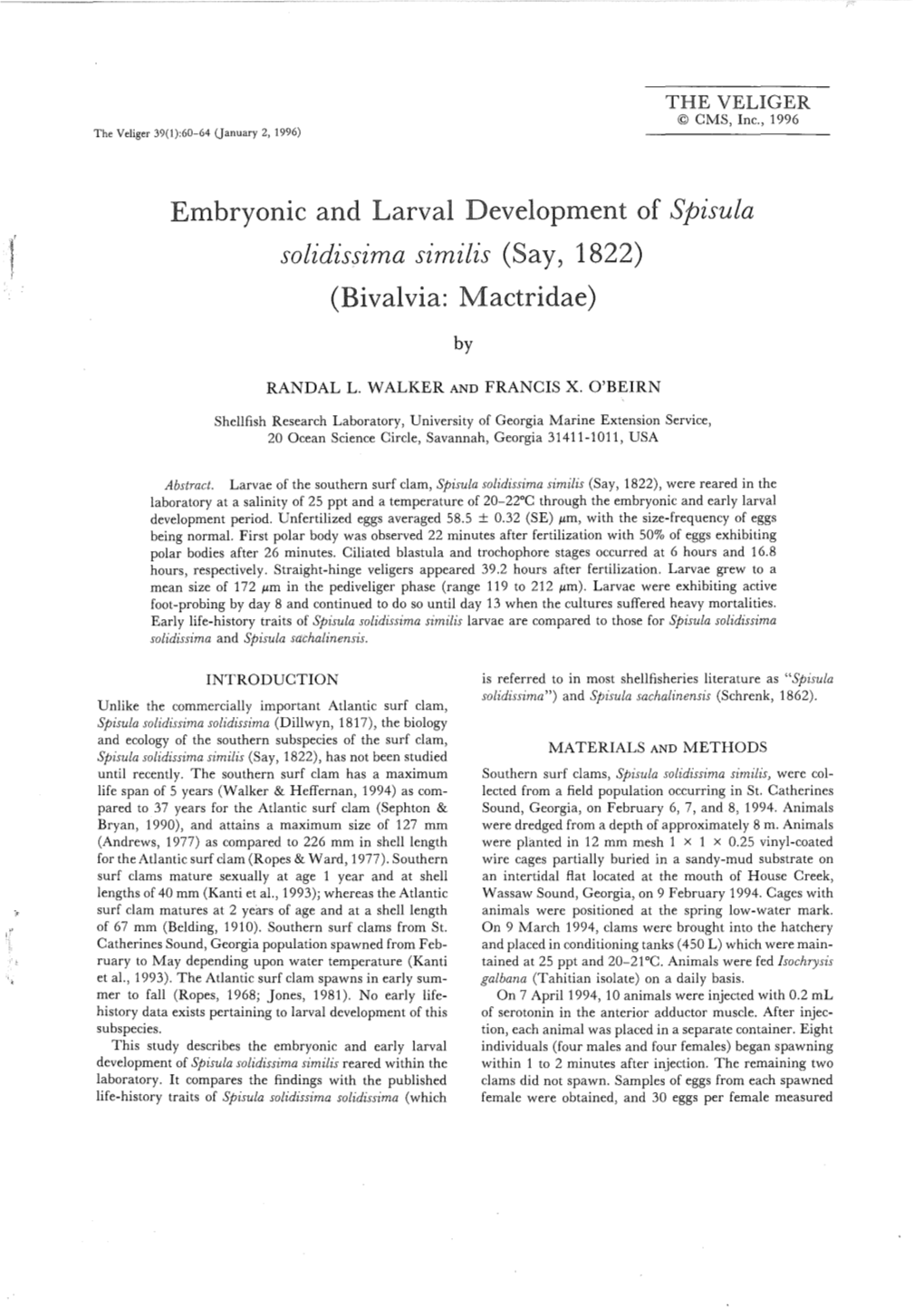 Embryonic and Larval Development of Spisula (Bivalvia: Mactridae)