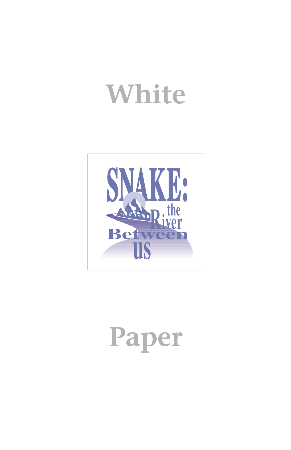 A White Paper on Snake