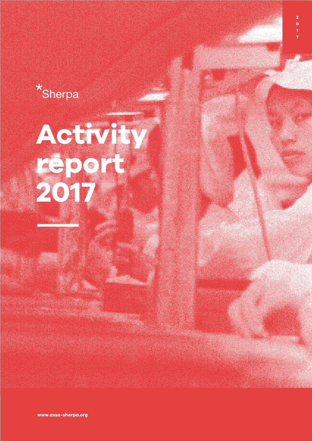 2017 Activity Report