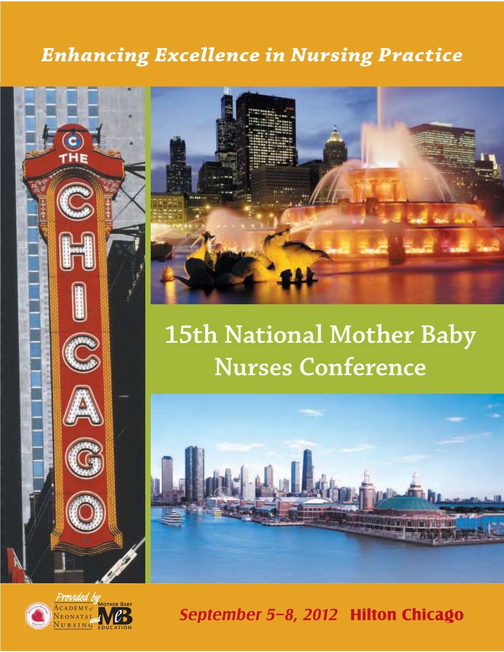 15Th National Mother Baby Nurses Conference