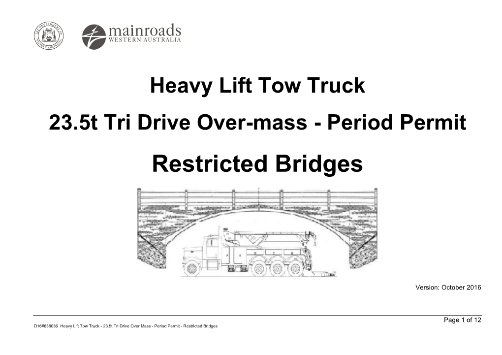 Restricted Bridges