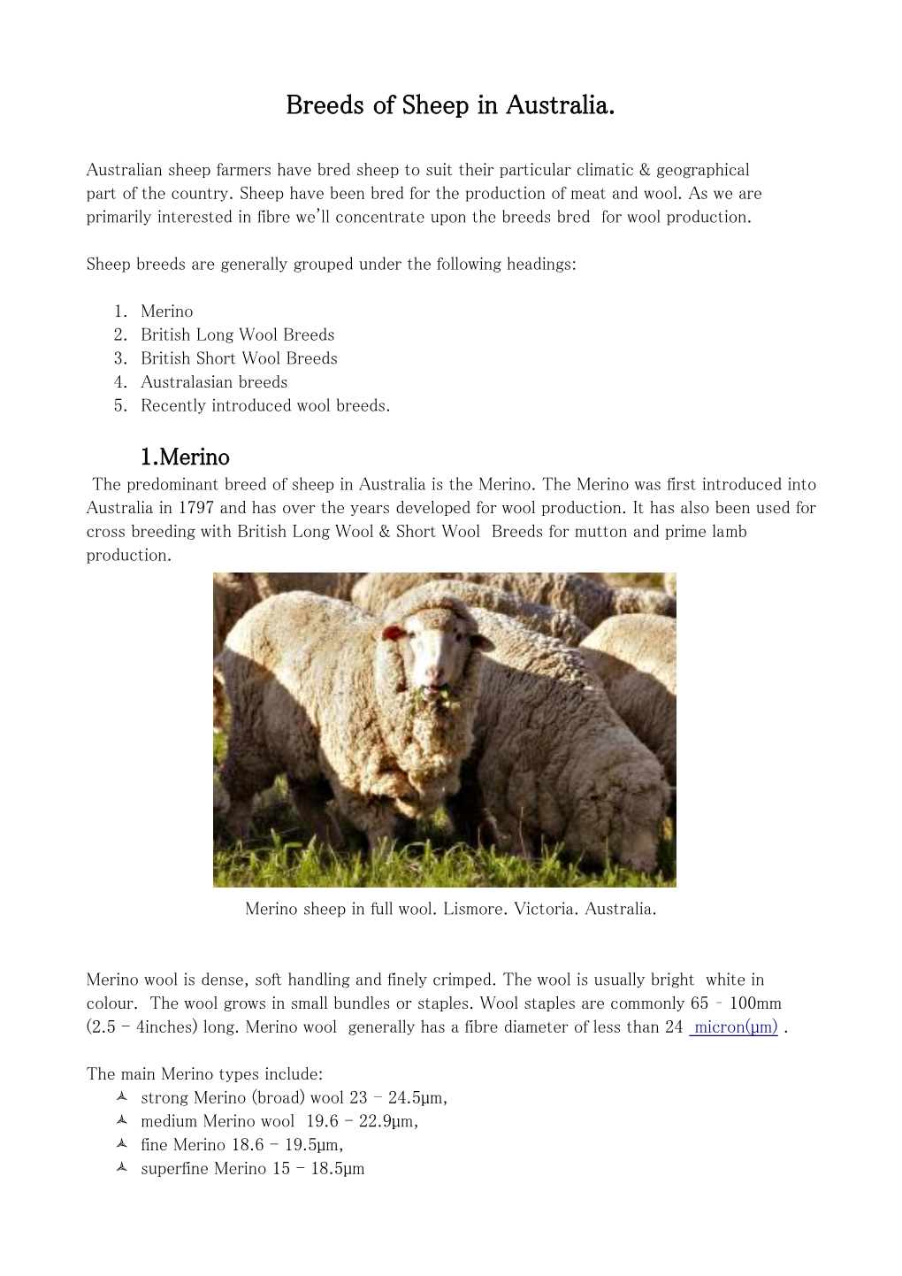 Breeds of Sheep in Australia