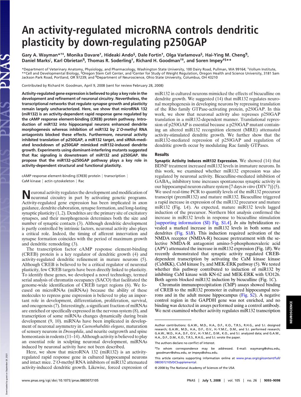 An Activity-Regulated Microrna Controls Dendritic Plasticity by Down-Regulating P250gap