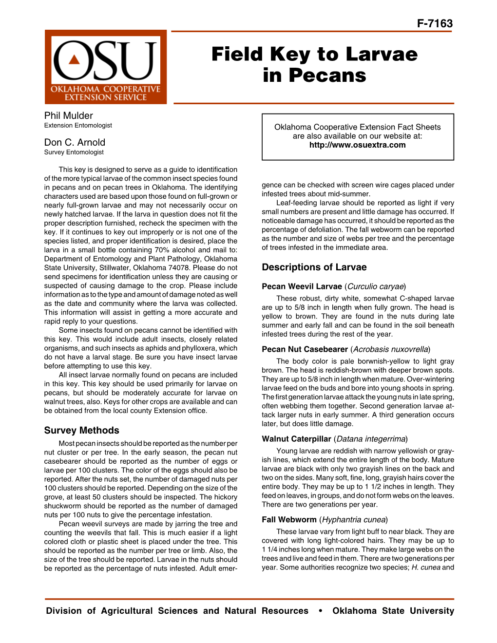 Field Key to Larvae in Pecans