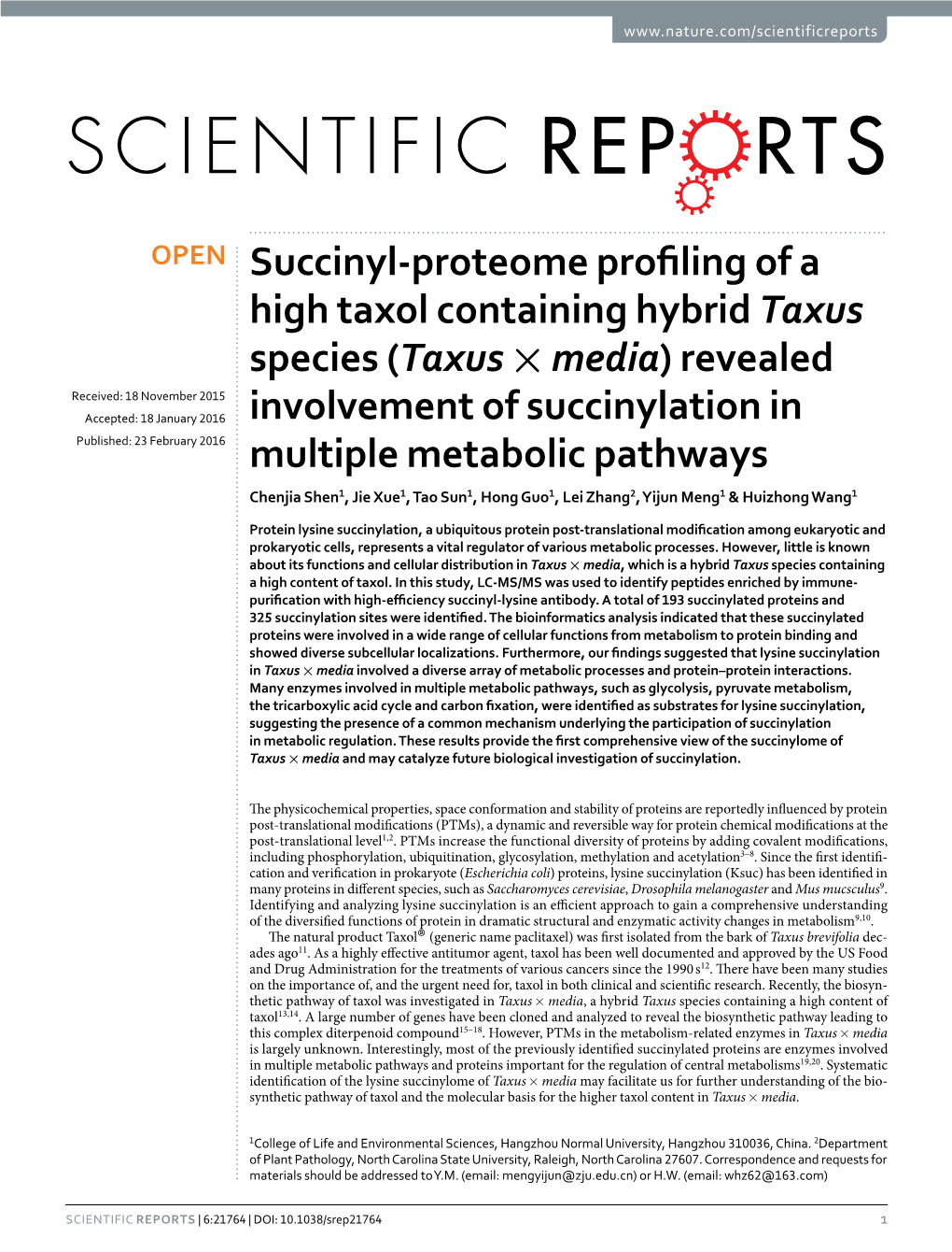 Succinyl-Proteome Profiling of a High Taxol Containing Hybrid Taxus Species