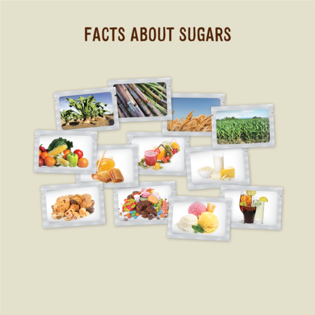 Facts-About-Sugars-Brochure.Pdf