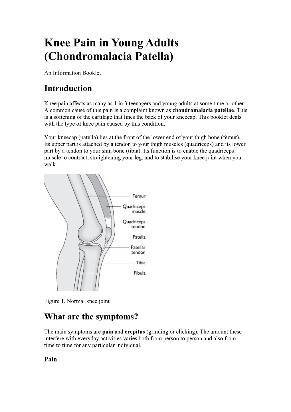 Knee Pain in Young Adults (Chondromalacia Patella)