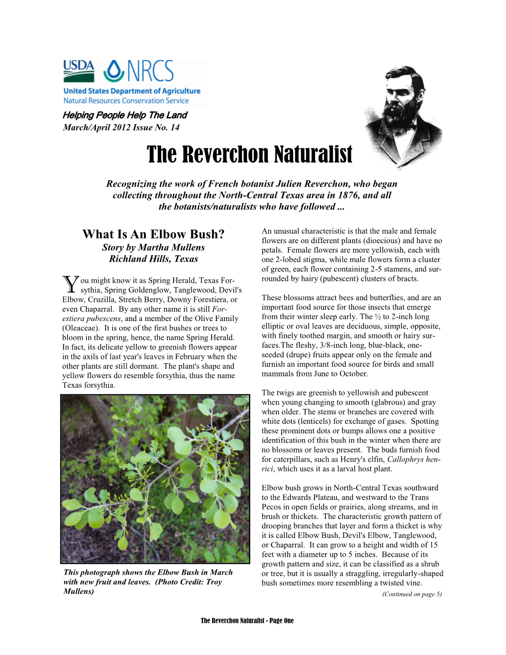 The Reverchon Naturalist