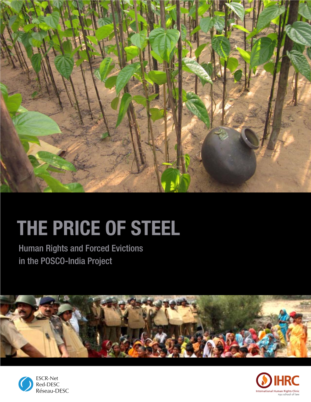 THE PRICE of STEEL Human Rights and Forced Evictions in the POSCO-India Project