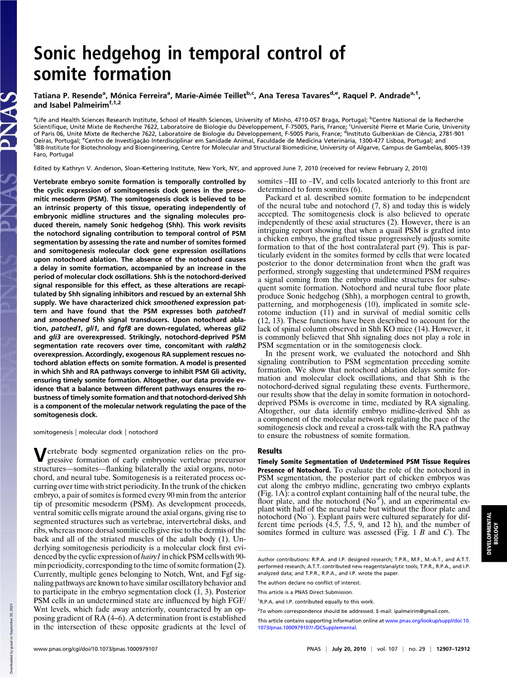 Sonic Hedgehog in Temporal Control of Somite Formation