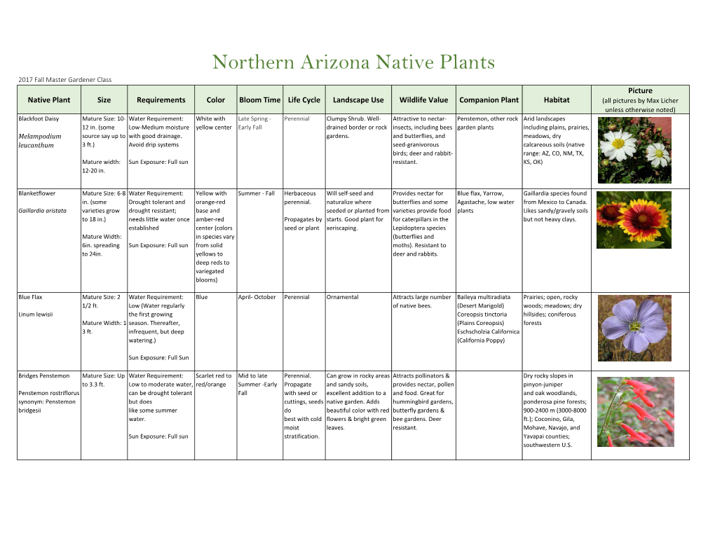 Northern Arizona Native Plants