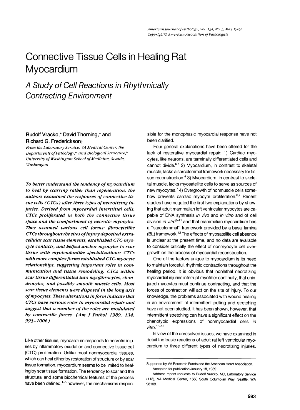 Connective Tissue Cells in Healing Rat Myocardium a Study of Cell Reactions in Rhythmically Contracting Environment