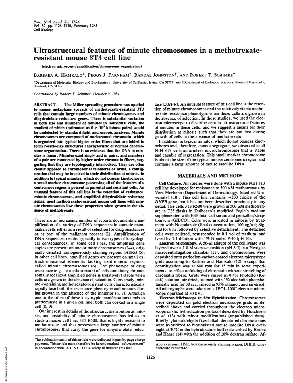 Ultrastructural Features of Minute Chromosomes Ina Methotrexate