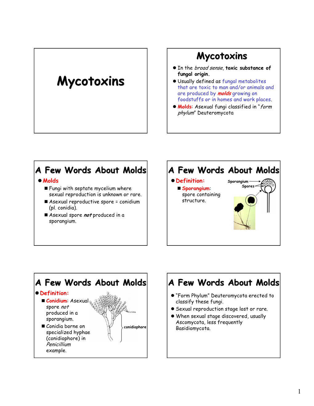 Mycotoxins Z in the Broad Sense, Toxic Substance of Fungal Origin