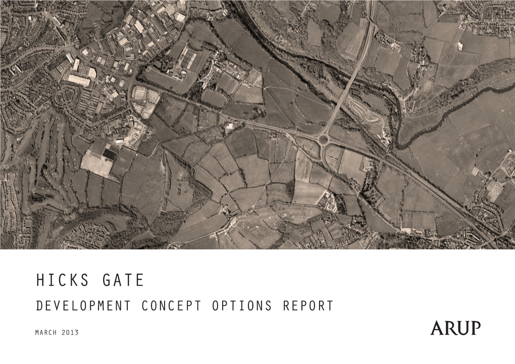 HICKS GATE Development Concept OPTIONS REPORT