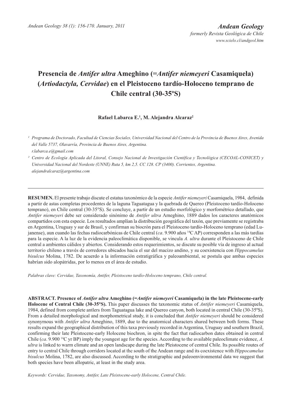 Presencia De Antifer Ultra Ameghino (=Antifer Niemeyeri Casamiquela) (Artiodactyla, Cervidae) En El Pleistoceno Tardío-Holoceno Temprano De Chile Central (30-35ºS)