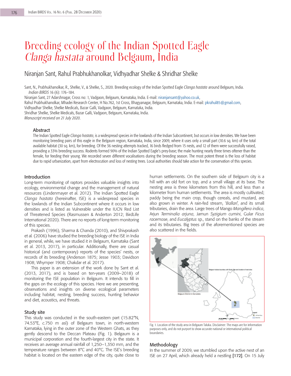 Breeding Ecology of the Indian Spotted Eagle Clanga Hastata Around Belgaum, India