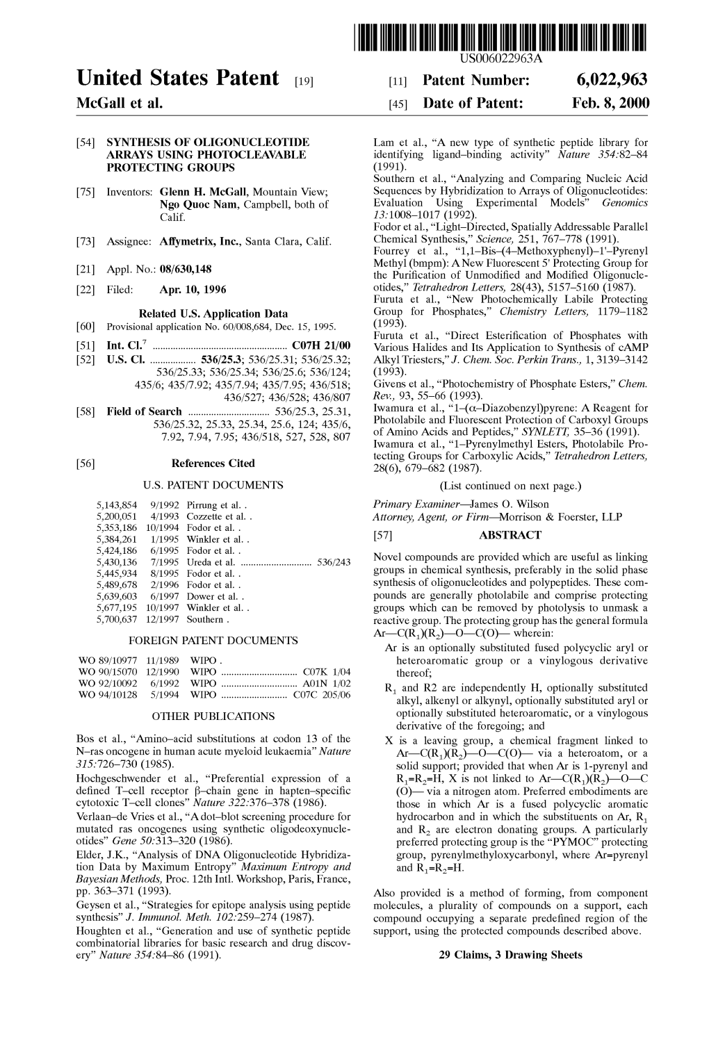 United States Patent (19) 11 Patent Number: 6,022,963 Mcgall Et Al