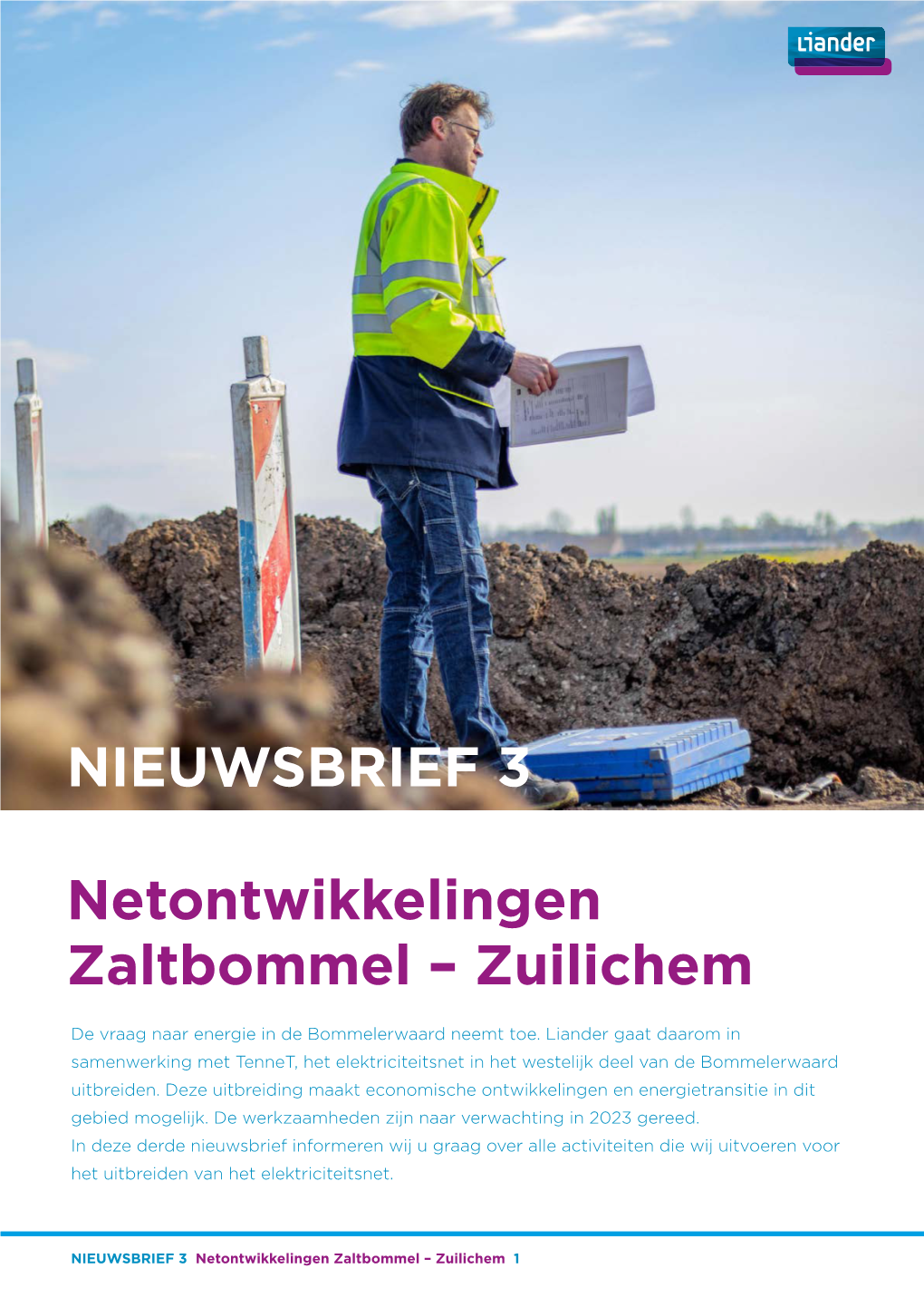 Netontwikkelingen Zaltbommel – Zuilichem