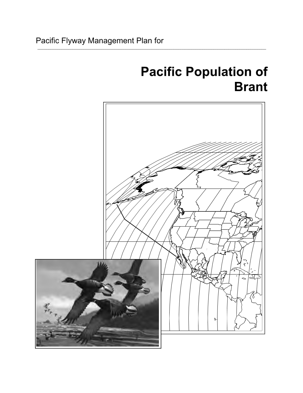 Pacific Population of Brant