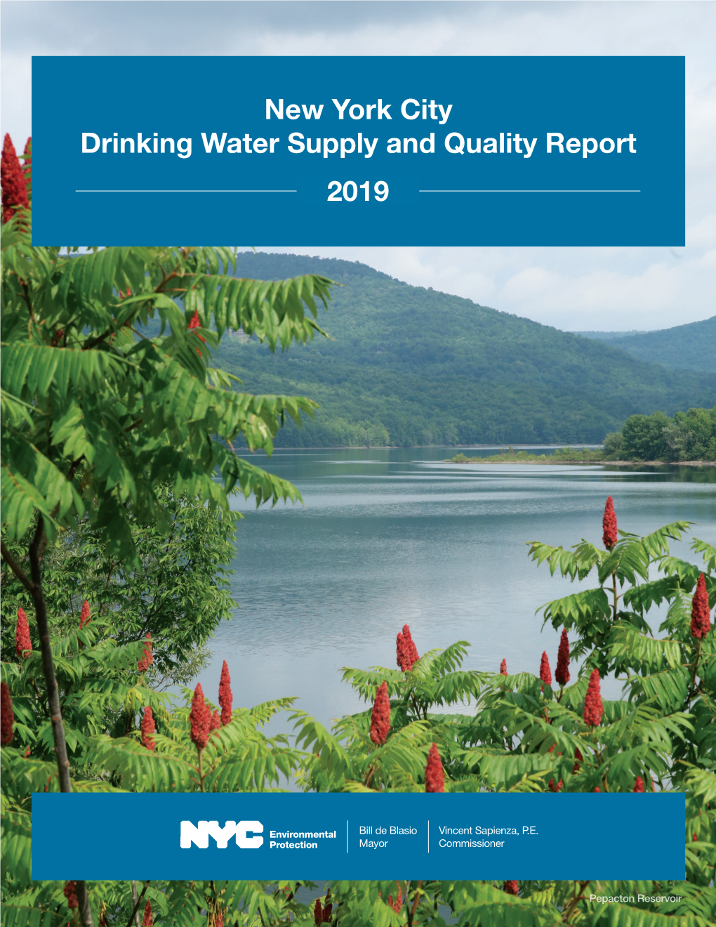 New York City Drinking Water Supply and Quality Report 2019