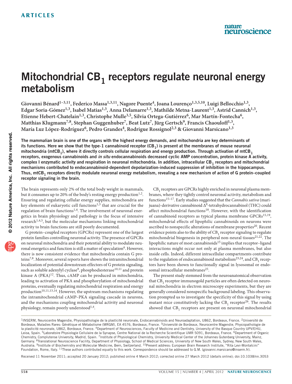 Mitochondrial CB1 Receptors Regulate Neuronal Energy Metabolism