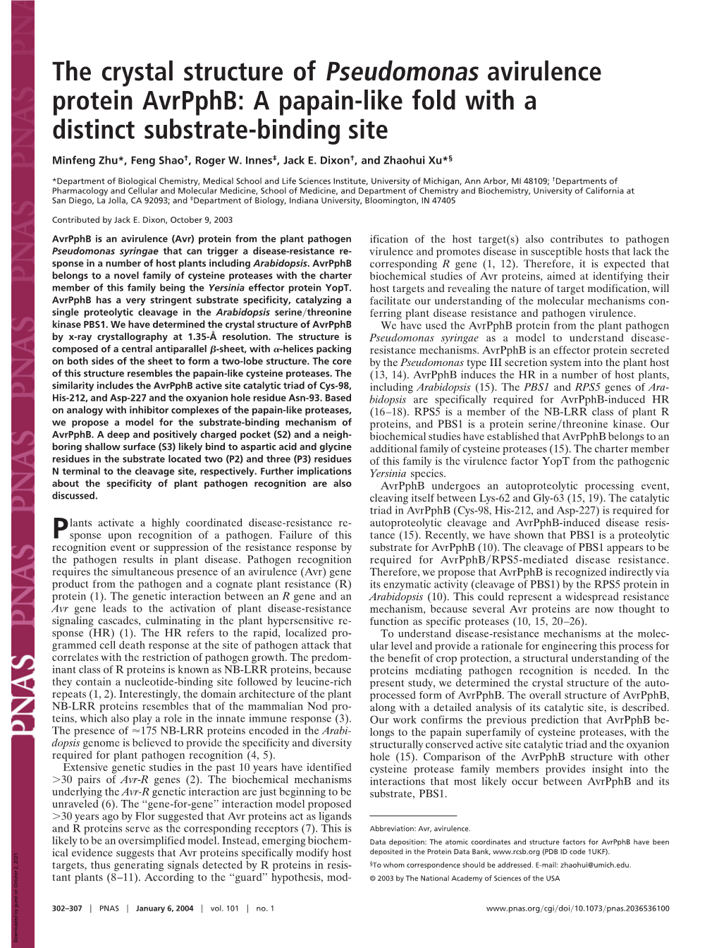 A Papain-Like Fold with a Distinct Substrate-Binding Site