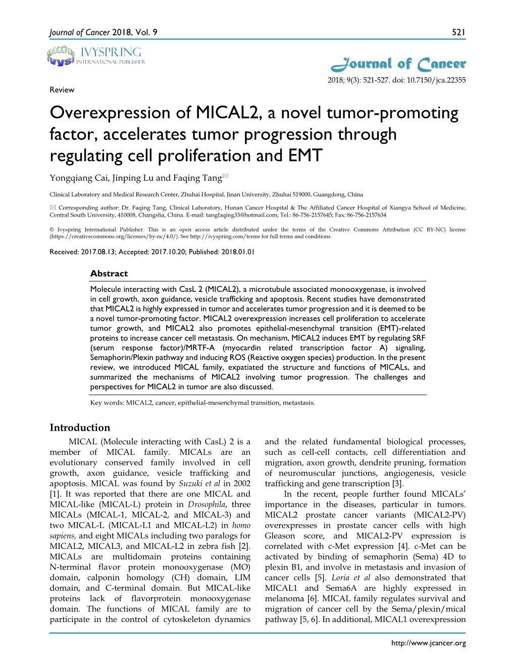 Overexpression of MICAL2, a Novel Tumor-Promoting Factor, Accelerates