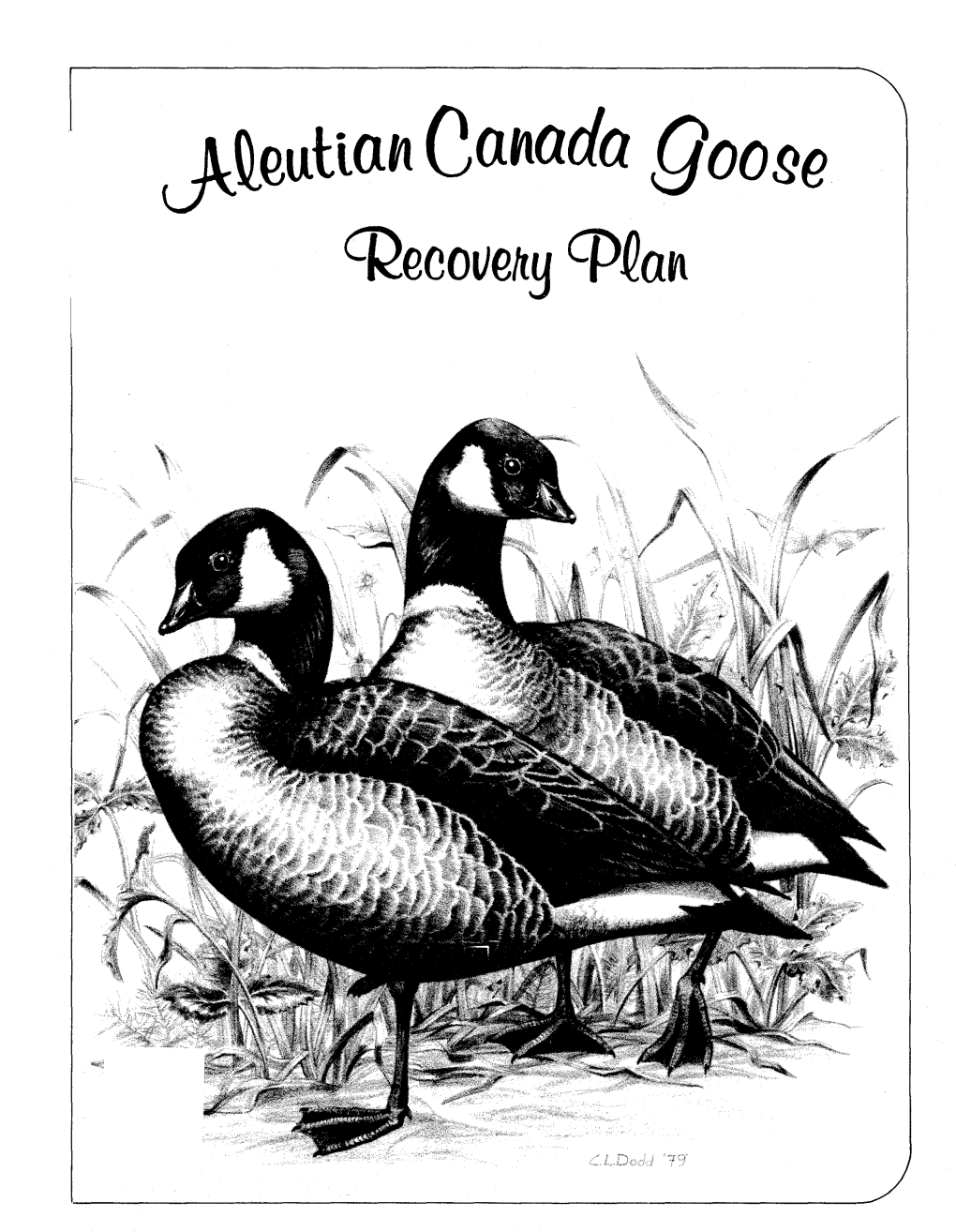 Aleutian Canada Goose Recovery Plan