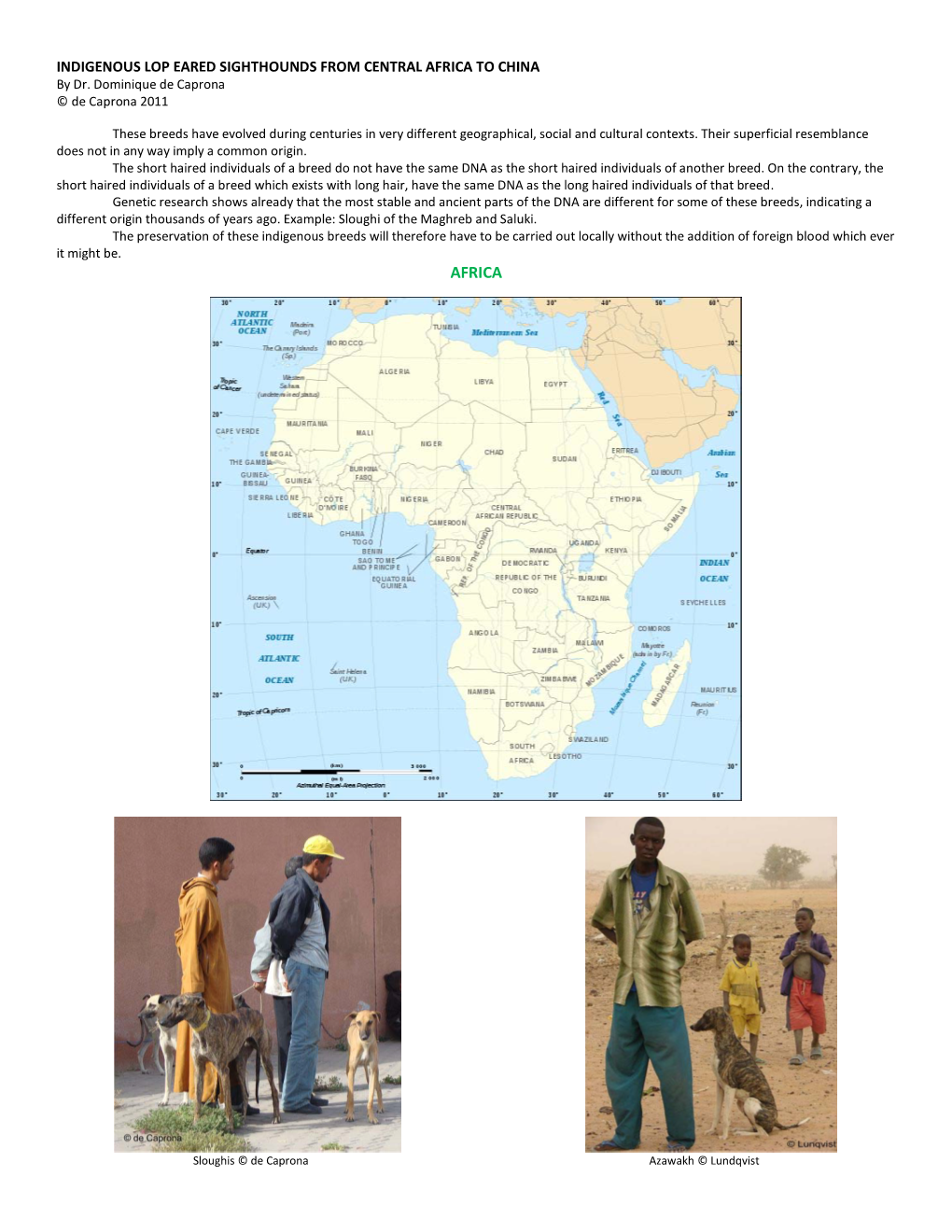 INDIGENOUS LOP EARED SIGHTHOUNDS from CENTRAL AFRICA to CHINA by Dr