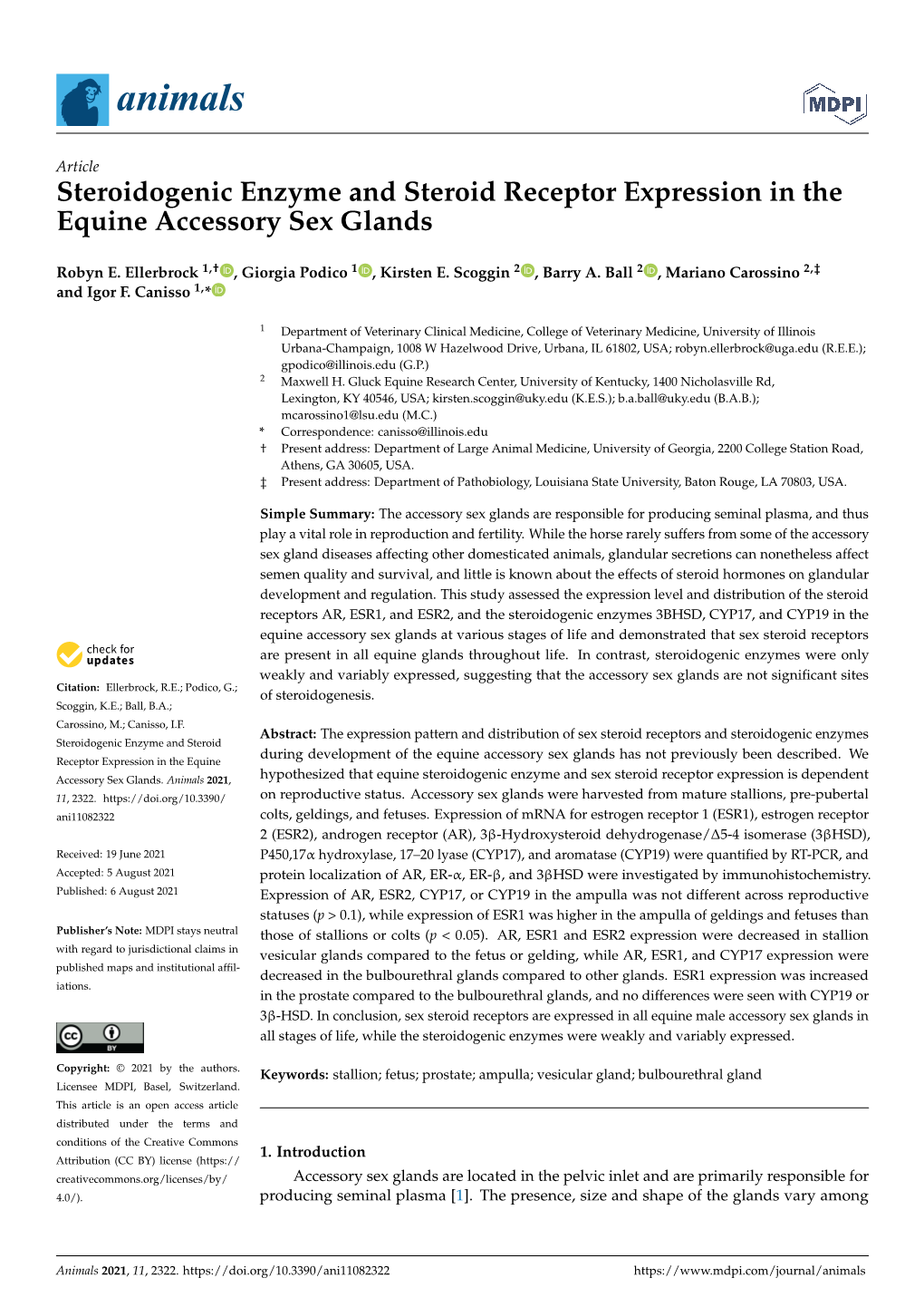 Steroidogenic Enzyme and Steroid Receptor Expression in the Equine Accessory Sex Glands