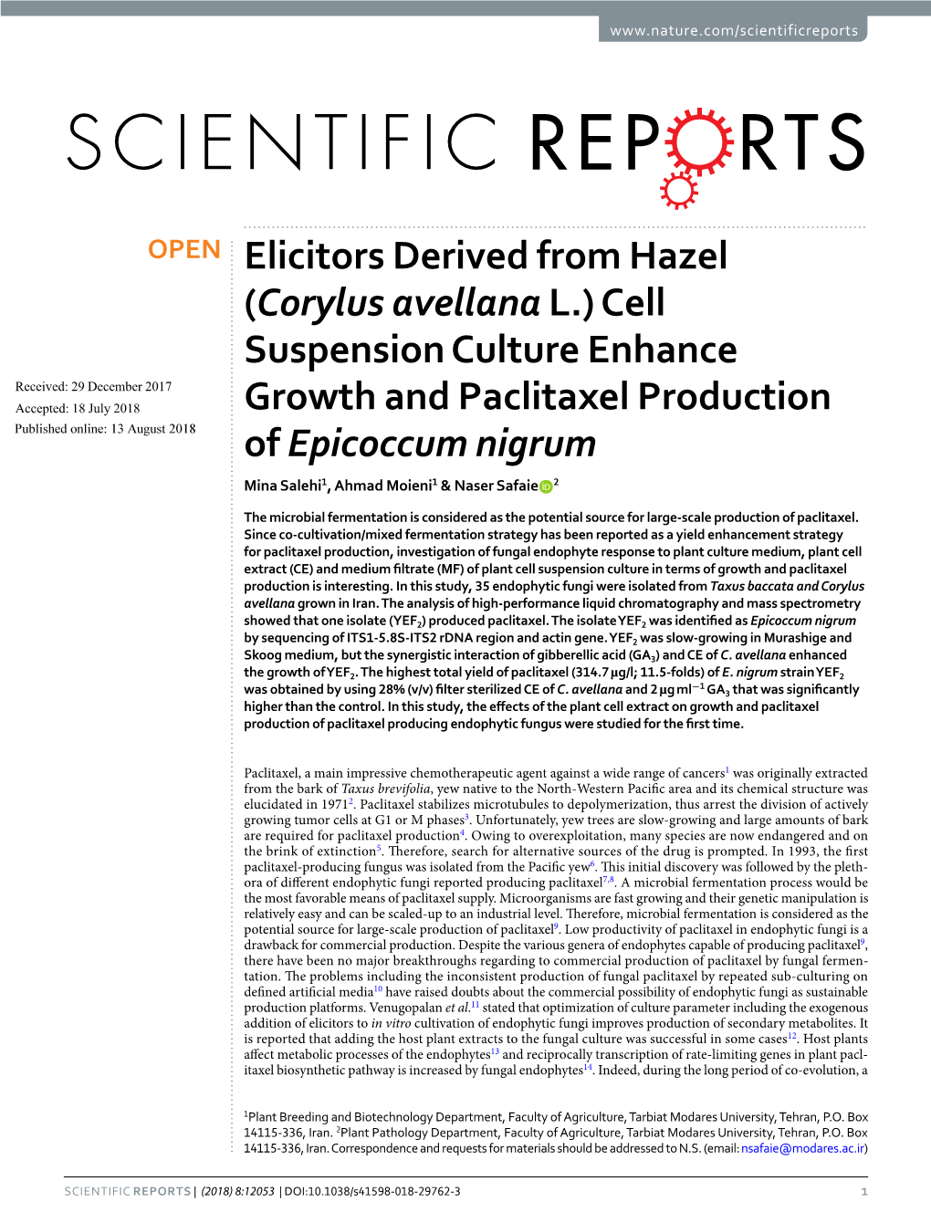 Cell Suspension Culture Enhance Growth and Paclitaxel Production Of