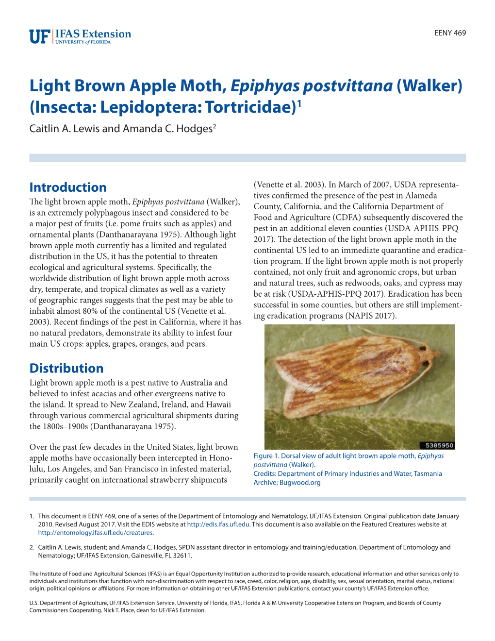 Light Brown Apple Moth, Epiphyas Postvittana (Walker) (Insecta: Lepidoptera: Tortricidae)1 Caitlin A
