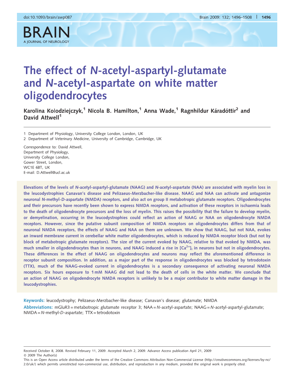 The Effect of N-Acetyl-Aspartyl-Glutamate and N-Acetyl-Aspartate on White Matter Oligodendrocytes