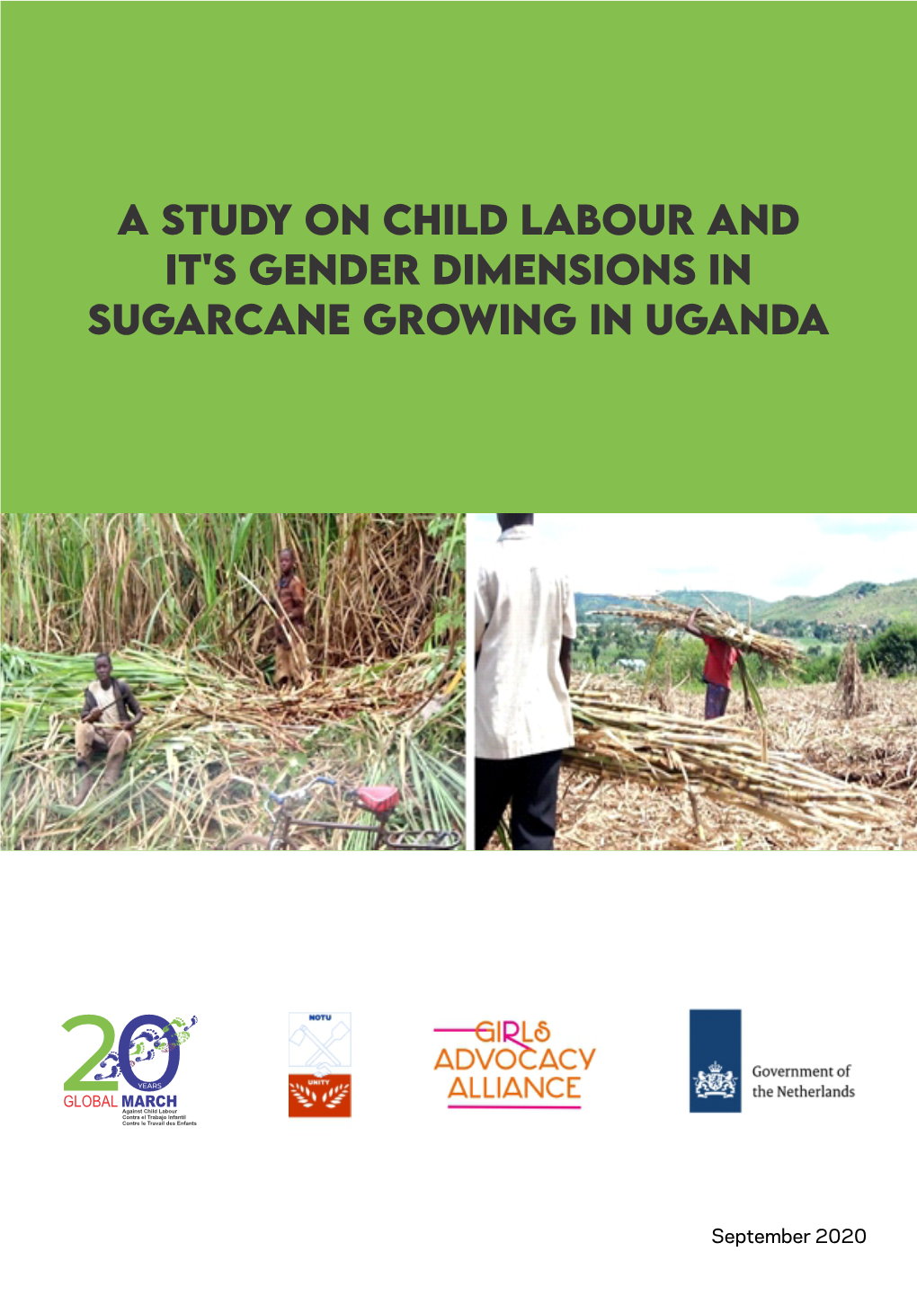 A STUDY on Child LABOUR and It's GENDER Dimensions in SUGARCANE Growing in UGANDA