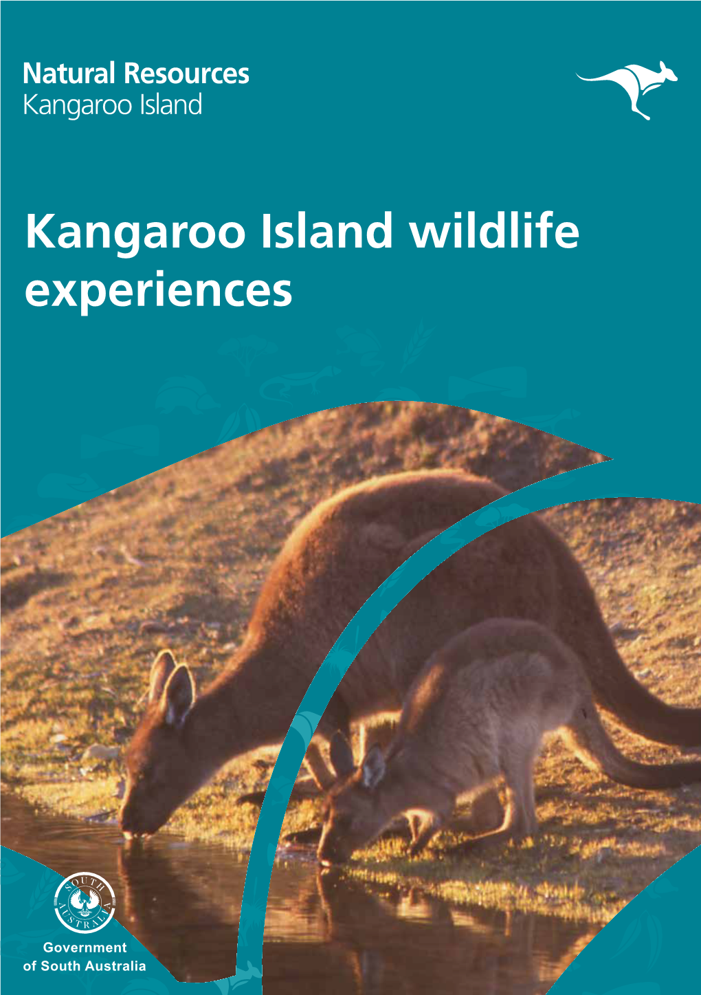 Kangaroo Island Wildlife Experiences