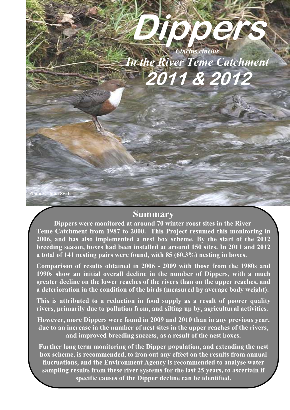 Dippers Report (1).Pdf