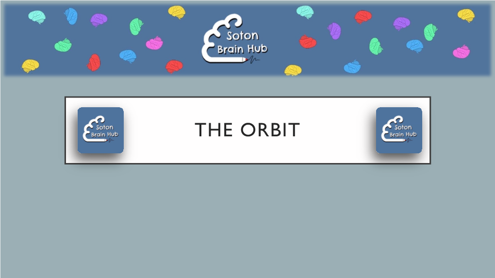 Orbit H&N2 for Website