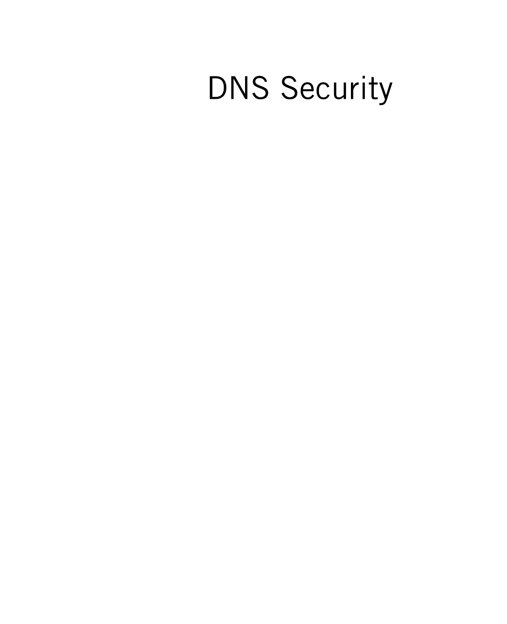 DNS Security DNS Security Defending the Domain Name System