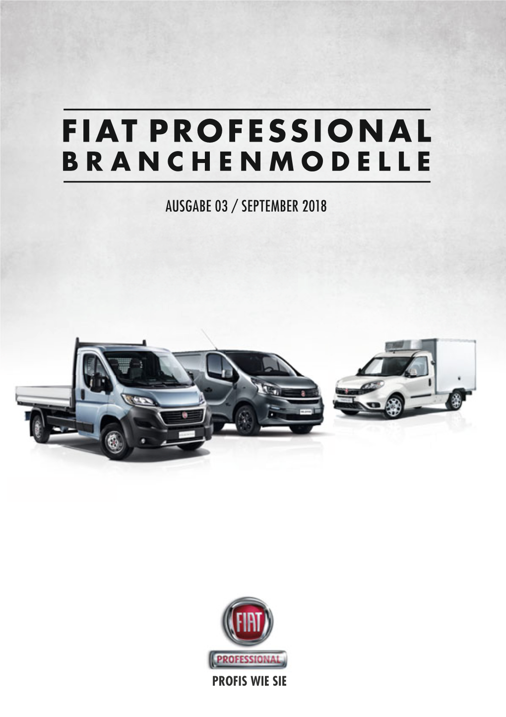 Fiat Professional Branchenmodelle