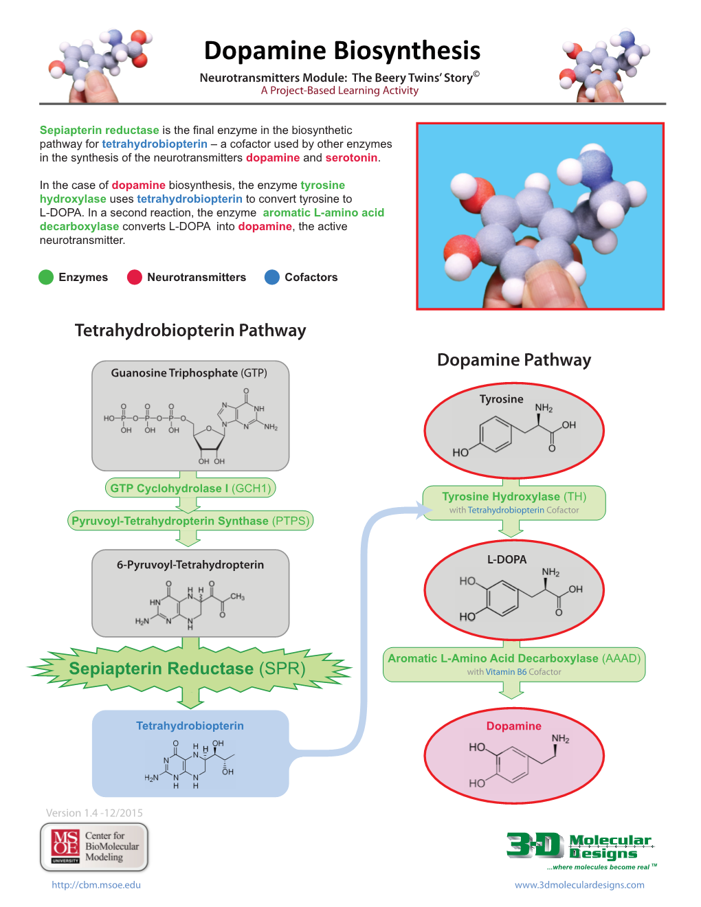 Dopamine Biosynthesis Neurotransmitters Module: the Beery Twins’ Story© a Project-Based Learning Activity