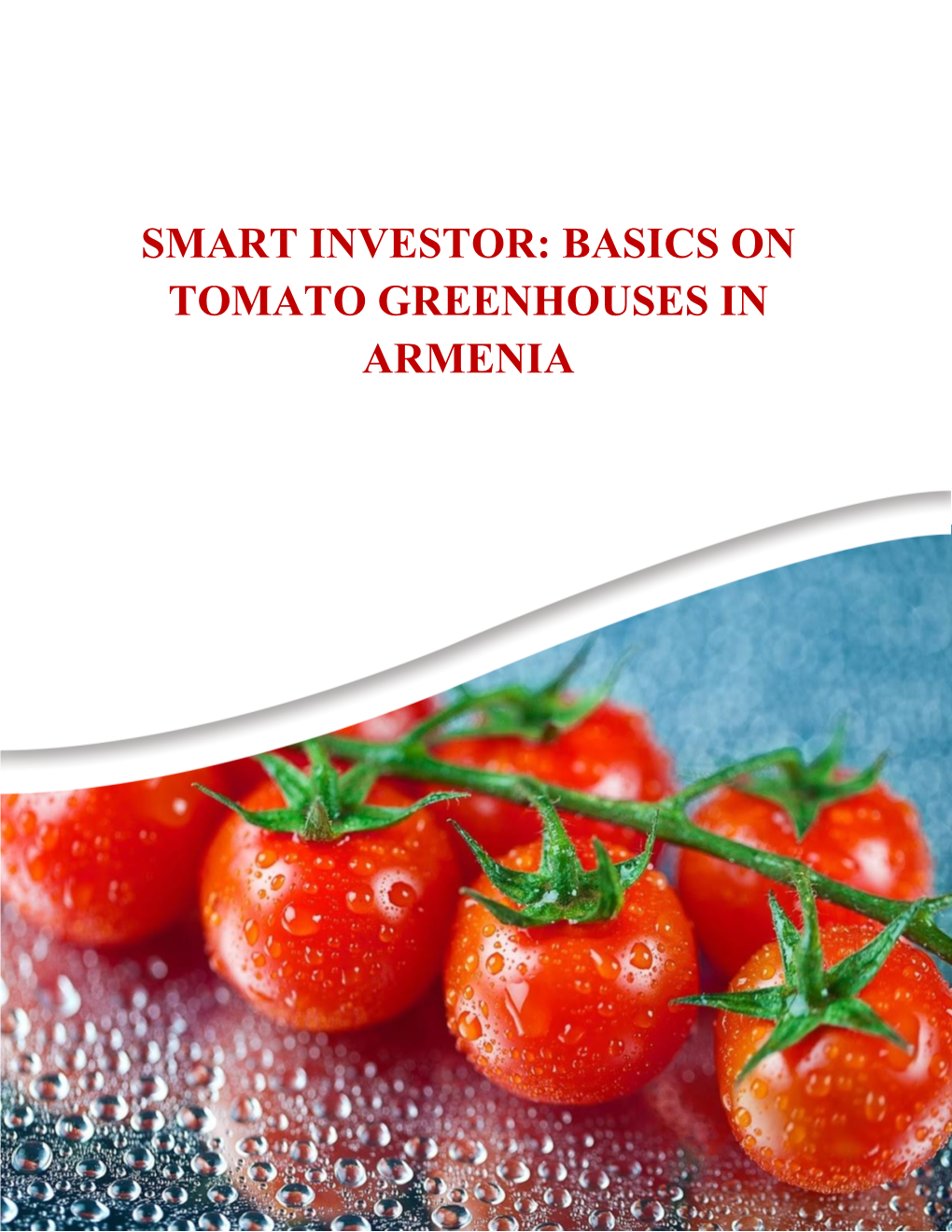 Basics on Tomato Greenhouses in Armenia
